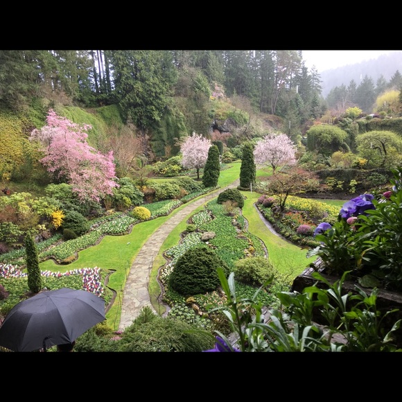 Meet your Posher, Anna - Picture 1 of 1